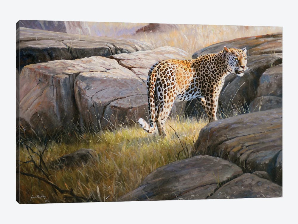 Leopard by Grant Hacking 1-piece Canvas Art Print