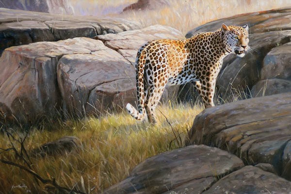 Grant Hacking: Leopard by Grant Hacking