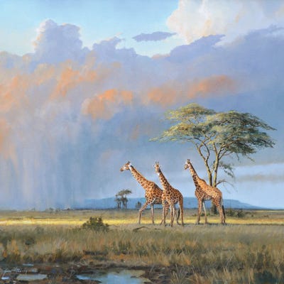 Lightning Conductors by Grant Hacking framed canvas print