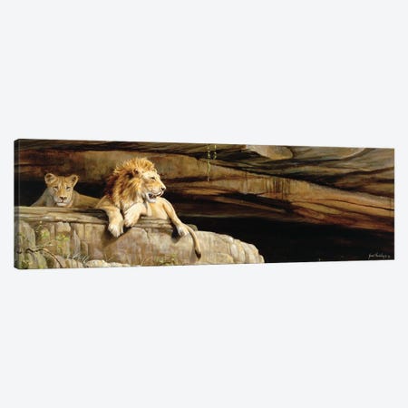 Lions Of Umfolozi Canvas Print #GHC60} by Grant Hacking Canvas Print