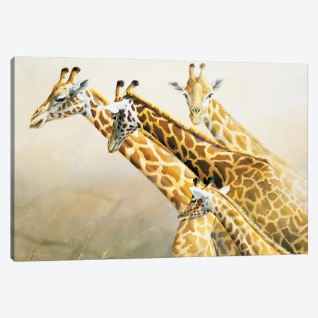 Longest Necks In Africa Giraffes Canvas Print #GHC61} by Grant Hacking Art Print