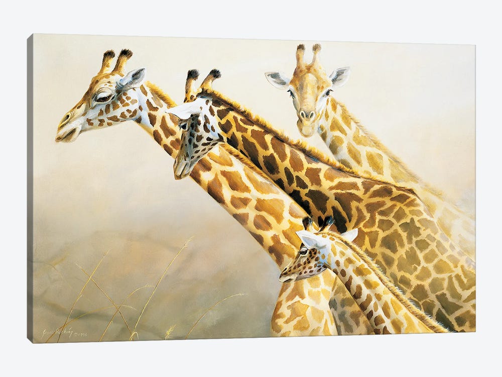 Longest Necks In Africa Giraffes by Grant Hacking 1-piece Art Print