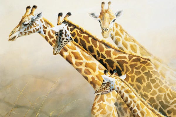 Grant Hacking: Longest Necks In Africa Giraffes by Grant Hacking