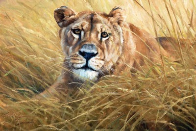 Lying In Wait by Grant Hacking framed canvas print