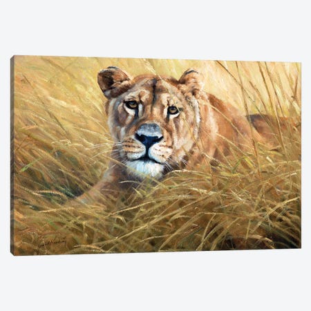 Lying In Wait Canvas Print #GHC62} by Grant Hacking Art Print