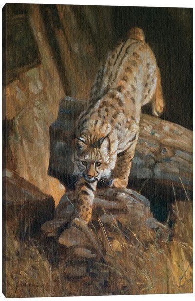 Lynx Canvas Art Print - Lynx Art