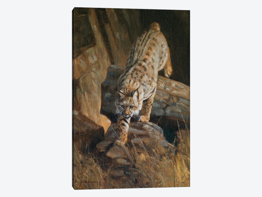 Lynx by Grant Hacking 1-piece Canvas Art Print