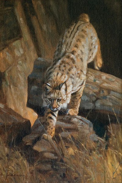 Grant Hacking: Lynx by Grant Hacking