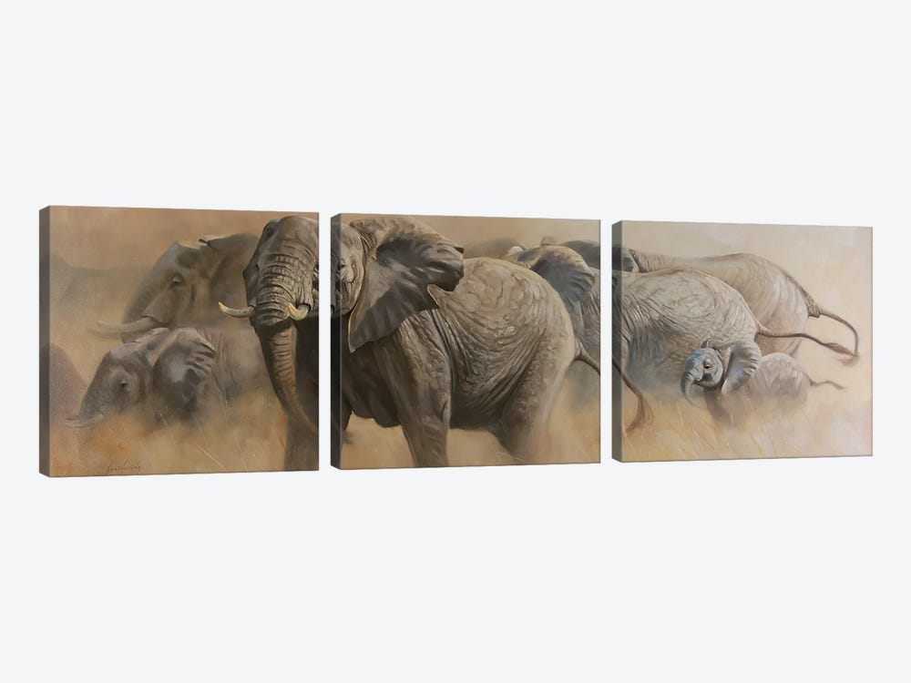 Matriarch by Grant Hacking 3-piece Canvas Wall Art