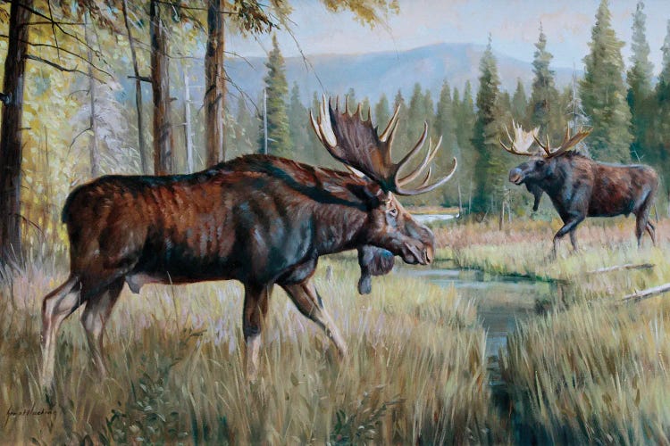 Moose by Grant Hacking wall art