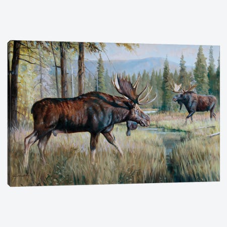 Moose Canvas Print #GHC66} by Grant Hacking Canvas Art