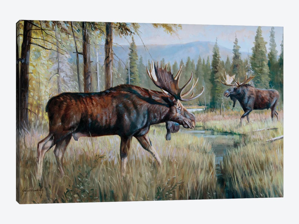 Moose by Grant Hacking 1-piece Canvas Artwork
