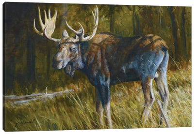 Moose Canvas Art Print - Grant Hacking