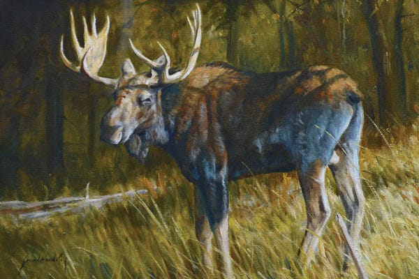 Grant Hacking: Moose by Grant Hacking