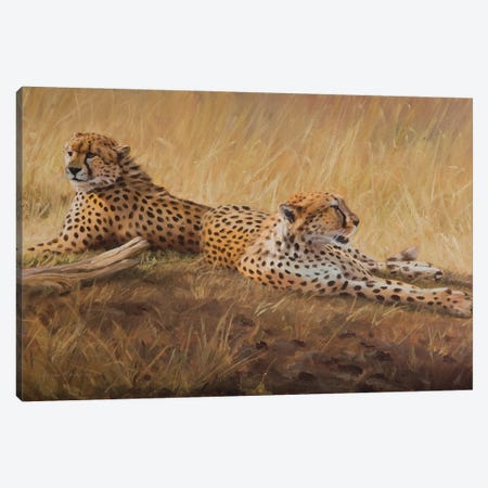 African Cats Canvas Print #GHC6} by Grant Hacking Canvas Wall Art