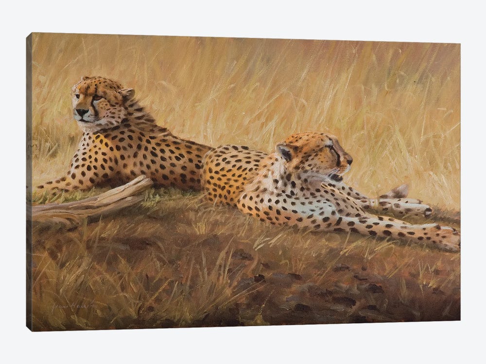 African Cats by Grant Hacking 1-piece Art Print