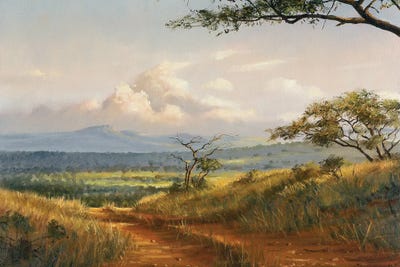 African Road by Grant Hacking framed canvas print