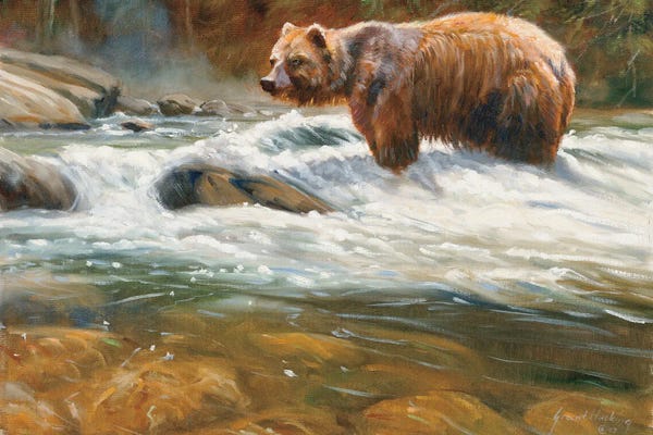 Grizzly Bears: Mountain Stream Grizzly by Grant Hacking