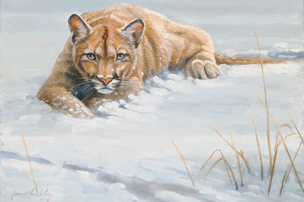 Grant Hacking: No Cover Puma by Grant Hacking