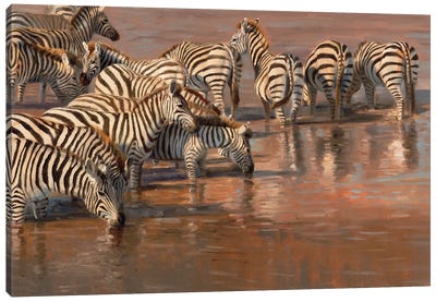 No Looking Back Zebra Canvas Art Print - Zebra Art