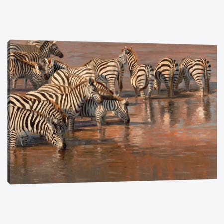 No Looking Back Zebra Canvas Print #GHC74} by Grant Hacking Art Print