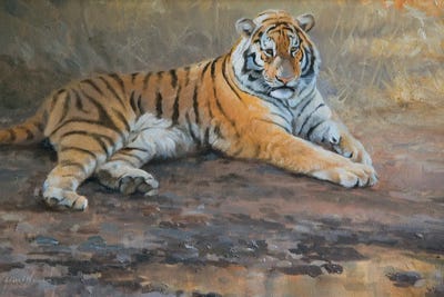 No Worries by Grant Hacking framed canvas print