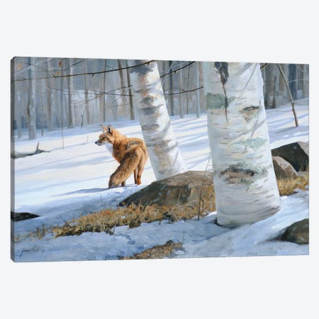 On Silent Snow Canvas Print #GHC78} by Grant Hacking Canvas Wall Art