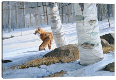On Silent Snow Canvas Art Print - Grant Hacking