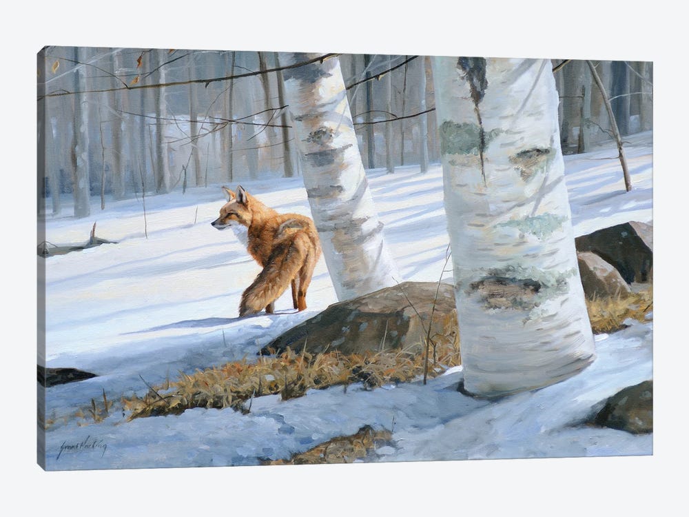 On Silent Snow by Grant Hacking 1-piece Canvas Print