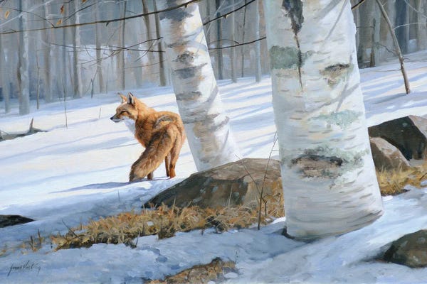 Grant Hacking: On Silent Snow by Grant Hacking