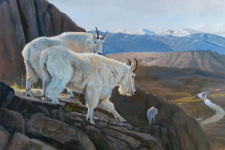 On The Verge Mountain Goats by Grant Hacking wall art