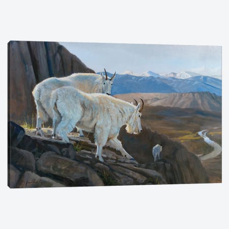 On The Verge Mountain Goats Canvas Print #GHC79} by Grant Hacking Canvas Art