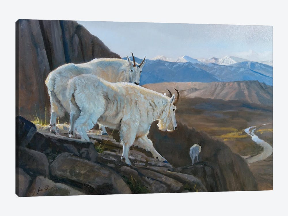 On The Verge Mountain Goats by Grant Hacking 1-piece Canvas Wall Art