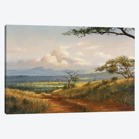 African Road Canvas Print #GHC7} by Grant Hacking Canvas Art