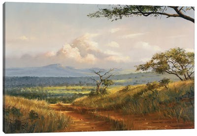 African Road Canvas Art Print - Grant Hacking