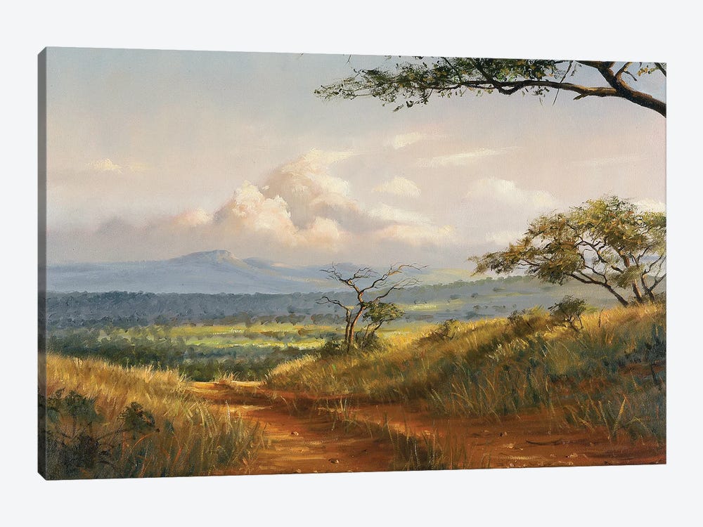African Road by Grant Hacking 1-piece Canvas Art