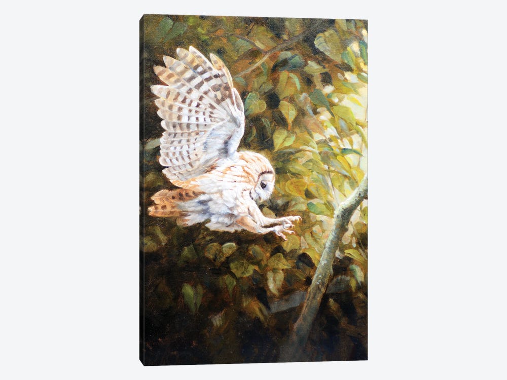 Owl by Grant Hacking 1-piece Canvas Artwork