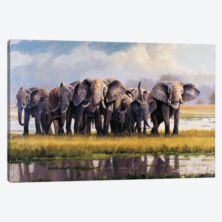 Peace Elephants Canvas Print #GHC81} by Grant Hacking Canvas Art Print