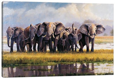 Peace Elephants Canvas Art Print - Grant Hacking