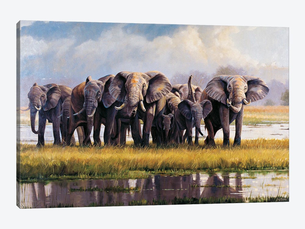Peace Elephants by Grant Hacking 1-piece Canvas Print