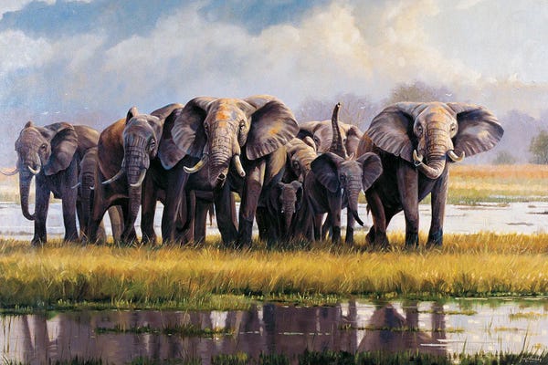 Grant Hacking: Peace Elephants by Grant Hacking