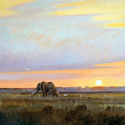 Peaceful by Grant Hacking framed canvas print