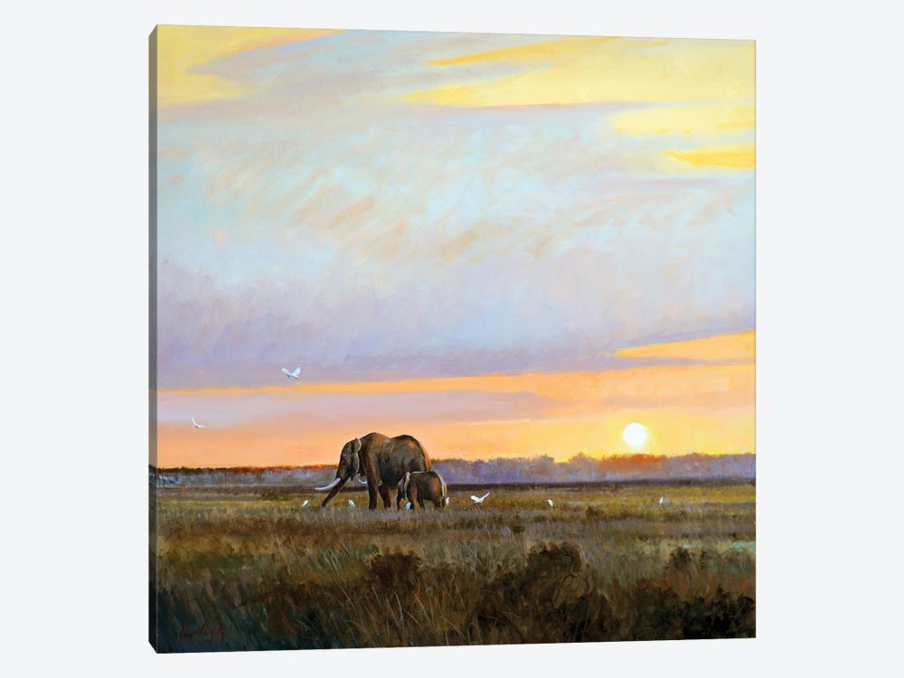 Peaceful by Grant Hacking 1-piece Canvas Art