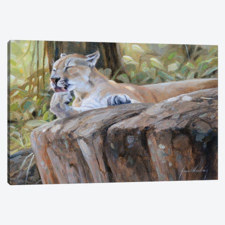 Puma Canvas Print #GHC83} by Grant Hacking Canvas Print