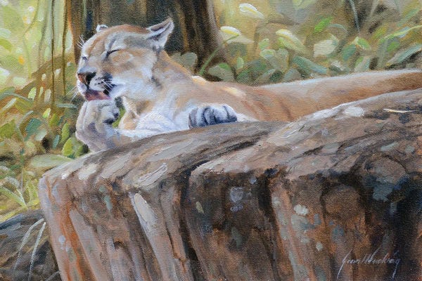 Grant Hacking: Puma by Grant Hacking