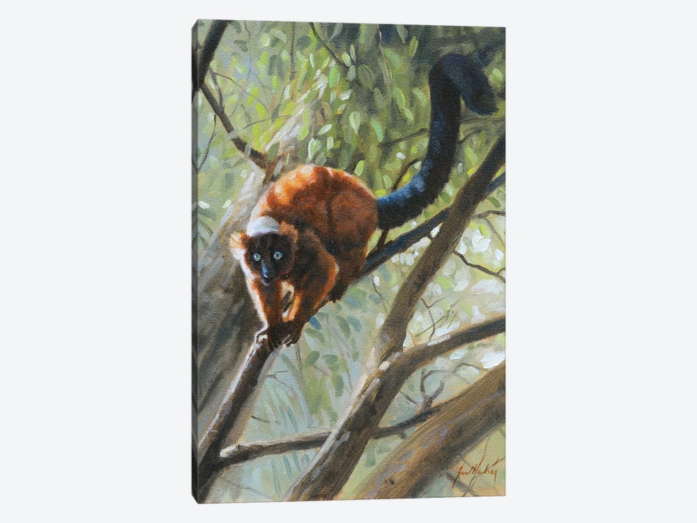 Read Roughed Lemur by Grant Hacking 1-piece Canvas Artwork