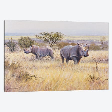 Rhino Canvas Print #GHC85} by Grant Hacking Canvas Wall Art
