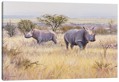 Rhino Canvas Art Print - Grant Hacking
