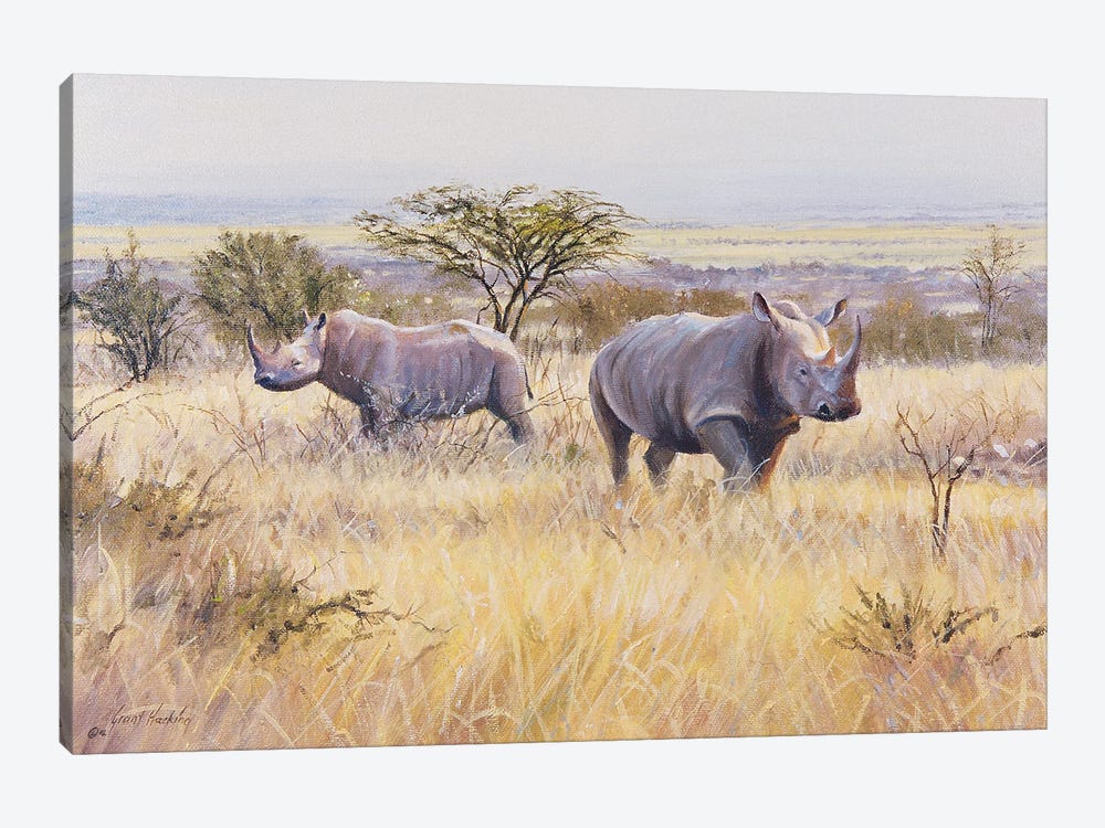 Rhino by Grant Hacking 1-piece Canvas Print