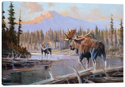 Riverlords Canvas Art Print - Deer Art